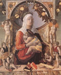 Marco Zoppo The Virgin and Child Surrounded by Eight Angels (mk05) oil painting picture
